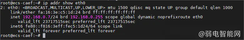如何在 Linux 中将多个 IP 分配给单个网络接口